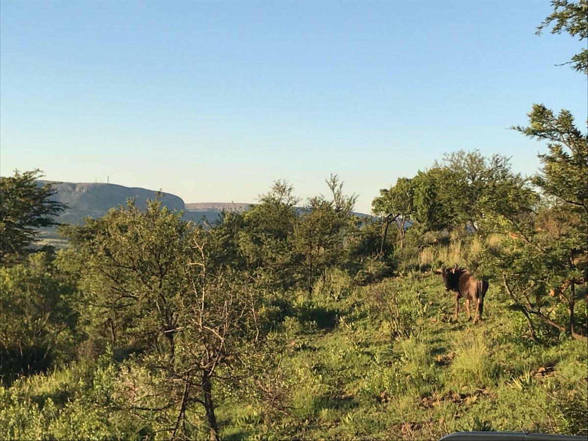 Olive Tree Farm Bed & Breakfast มากาลีสเบิร์ก ภายนอก รูปภาพ