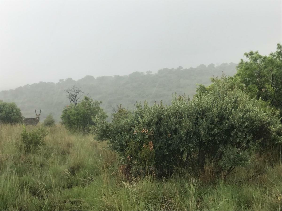 Olive Tree Farm Bed & Breakfast มากาลีสเบิร์ก ภายนอก รูปภาพ