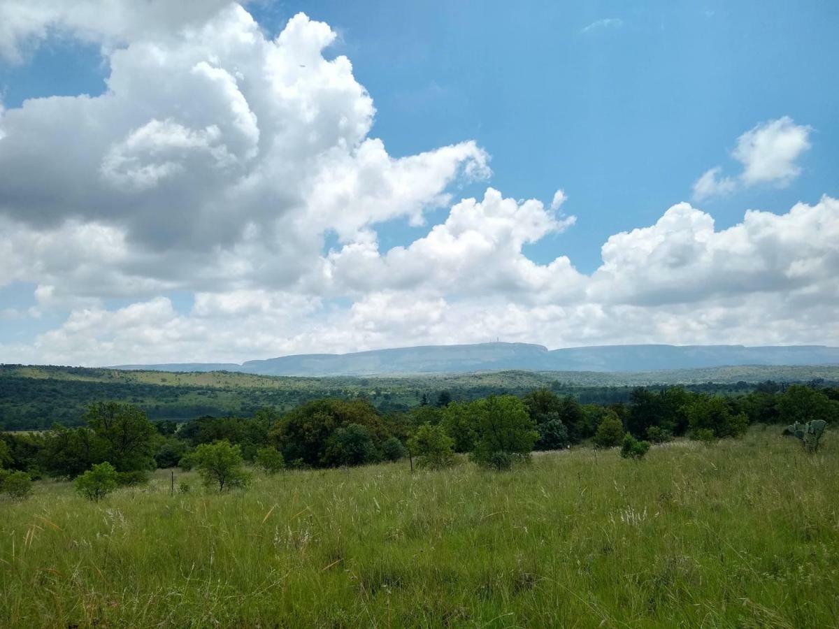 Olive Tree Farm Bed & Breakfast มากาลีสเบิร์ก ภายนอก รูปภาพ