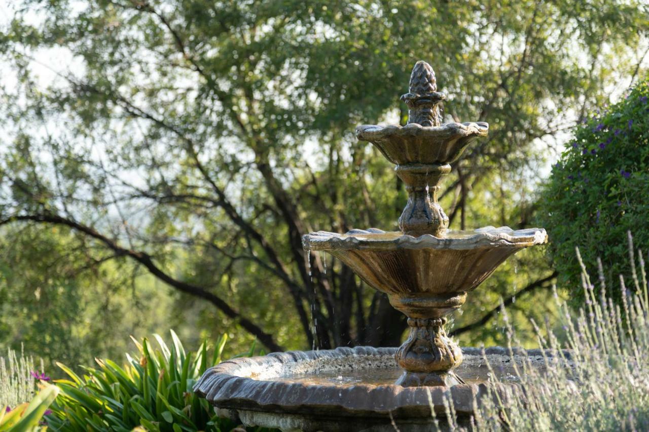Olive Tree Farm Bed & Breakfast มากาลีสเบิร์ก ภายนอก รูปภาพ