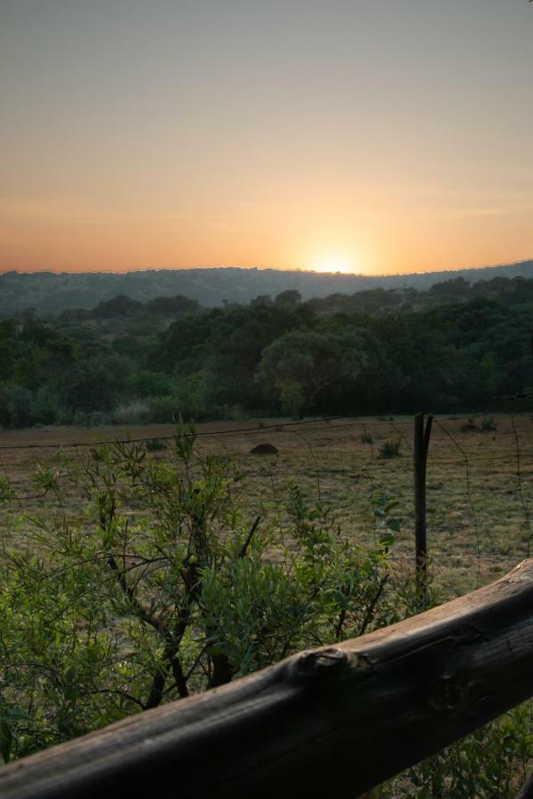 Olive Tree Farm Bed & Breakfast มากาลีสเบิร์ก ภายนอก รูปภาพ